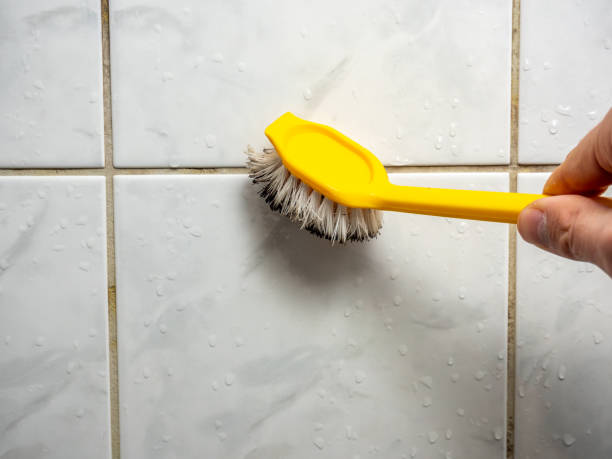 Best Commercial Mold Remediation in White Oak, TX