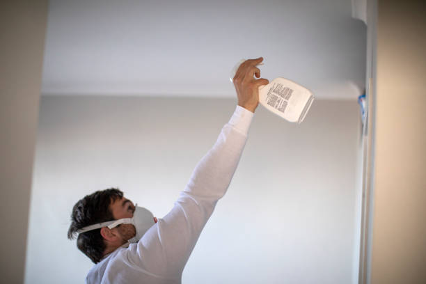 Best Industrial Mold Remediation in White Oak, TX