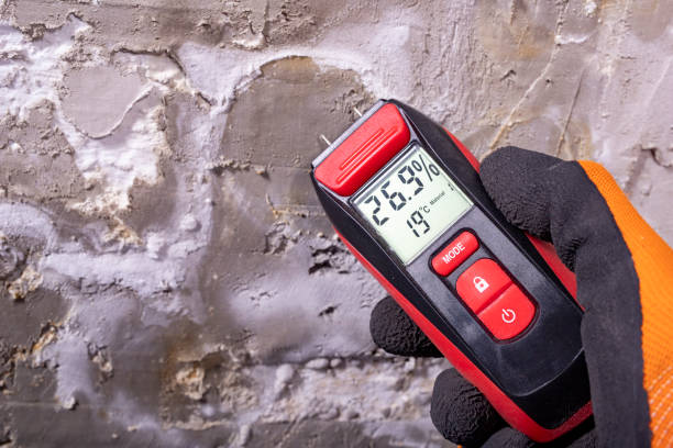 Best Insurance-Related Mold Remediation in White Oak, TX